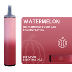 2026 Upgrade - More fuel&longer driving range NENO Watermelon Herbal Diffuser- 900 Uses
